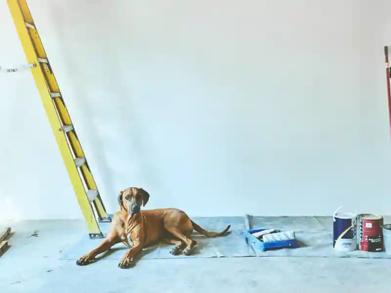 A dog sits on the floor beside a ladder, paint roller and paint cans.