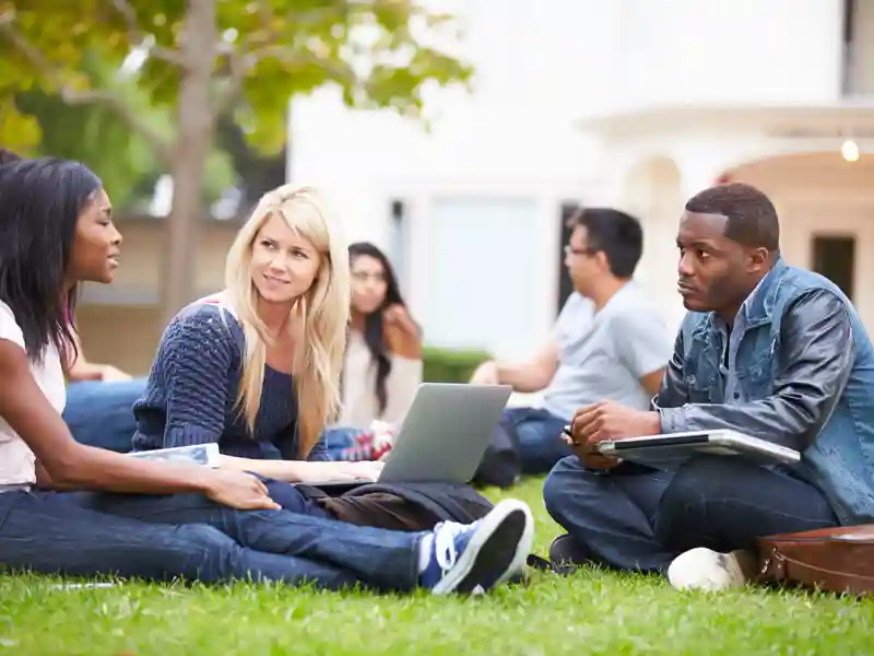 Group of college students studying outside.